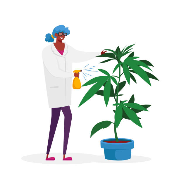 Grow Supplies